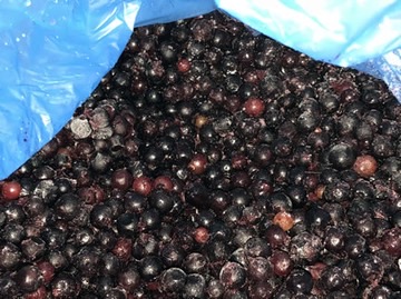 black currants-frozen-close 360.jpeg